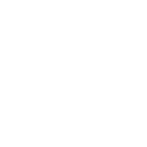 Camera Logo